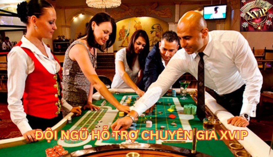 Đội ngũ hỗ trợ chuyên gia Xvip