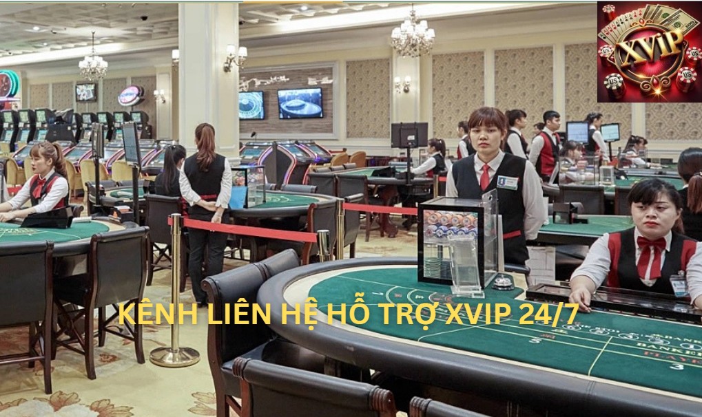 Kênh liên hệ hỗ trợ Xvip 24/7
